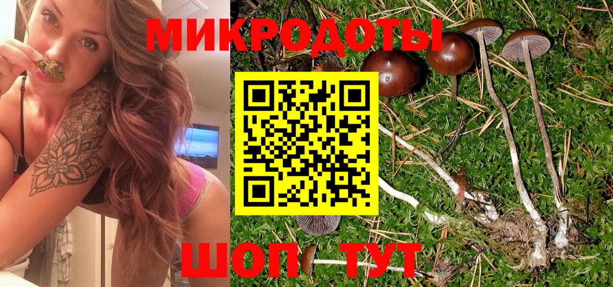 Галлюциногенные грибы GOLDEN TEACHER Коркино