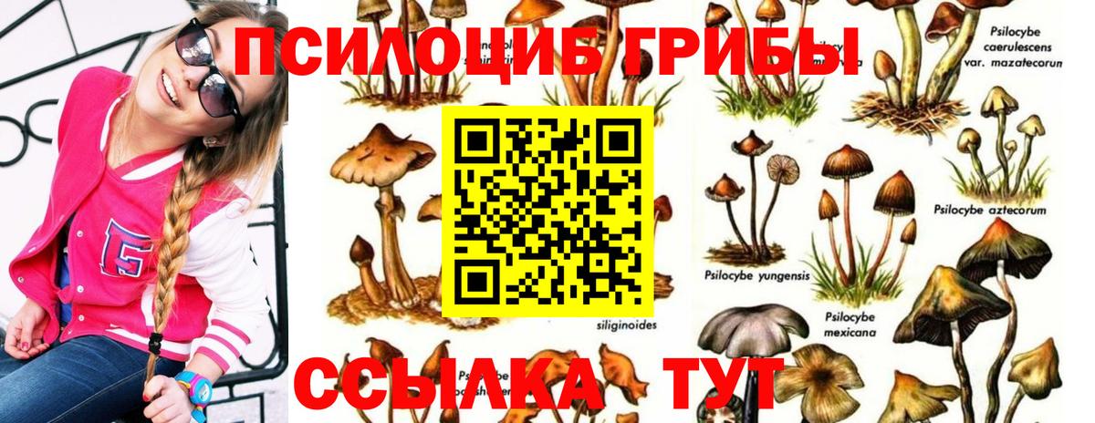 Коркино  Галлюциногенные грибы ЛСД  Вход с VPN 
